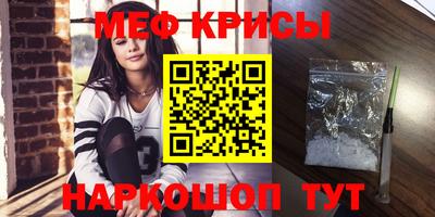 индика Камышлов