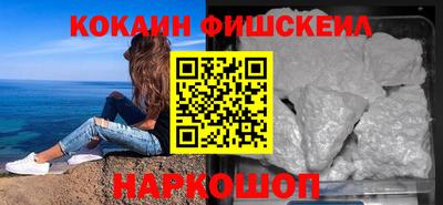 индика Камышлов