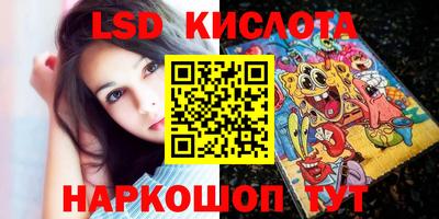индика Камышлов