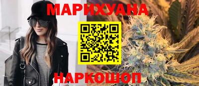 индика Камышлов
