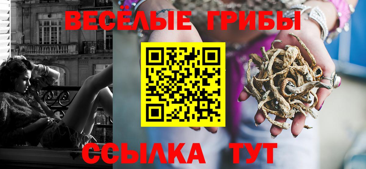 Псилоцибиновые грибы ЛСД  Вход с VPN  что такое наркотик  Кубинка 