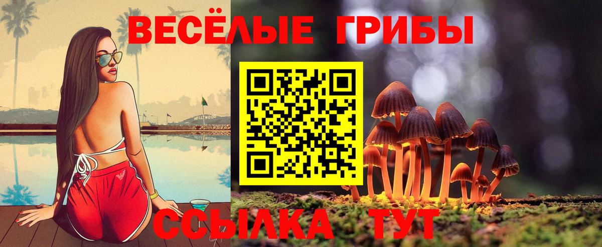 Псилоцибиновые грибы прущие грибы Кубинка